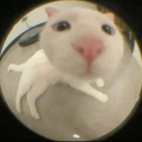 Gekitow5's avatar