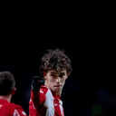 Yvesvdburg's avatar