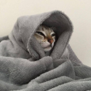 Meowsypaws's avatar
