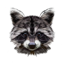 BignerdyRaccoon's avatar