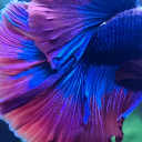 TEABAGINATOR's avatar