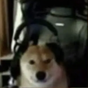 DeanCarvalho11's avatar