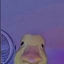william0731's avatar