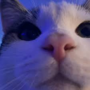 Asztetik's avatar