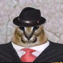 RysiuuSzef's avatar