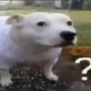 KunoOnYoutubeonPS's avatar