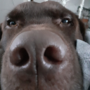 MayloKartoffel's avatar