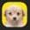 Chech_pe's avatar