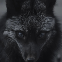Fox_XCVIII's avatar