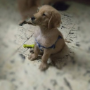 ur_favv_saltooh's avatar