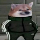 Zerio's avatar