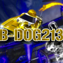 BDOG213's avatar