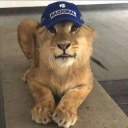 24hoursofEmi's avatar