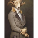 Distinguished_goat's avatar