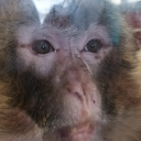 Salamaelrayo's avatar