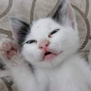 kanloo67's avatar