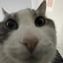 notajojoreference's avatar