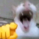 Dobrzyn's avatar