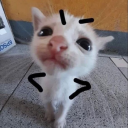 SHADWxICY's avatar