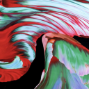 cushy_forest1's avatar