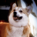 SeanlovesJesus's avatar