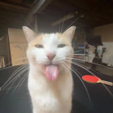 Ruledbysamuca's avatar