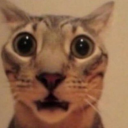 DynamicForever's avatar