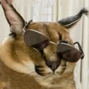 KsiZ's avatar
