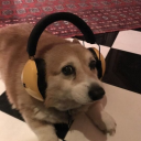 CarlosKatzzz's avatar