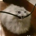 r0cksy_'s avatar