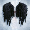black_wings' avatar