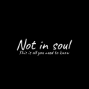 Not_in_soul's avatar