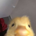 GottemTwice's avatar