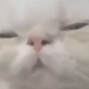 yourlocalpsycho's avatar