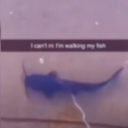 Tiger-Albie's avatar