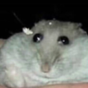 CallMeCristian's avatar