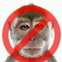 Rija's avatar