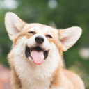 Hunek's avatar
