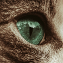 Tobaiez's avatar