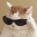 FlipperPlot7935's avatar