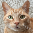 BruthaNature's avatar