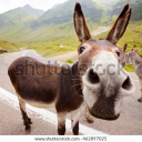 Calvertplays' avatar