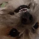 KylerPlaysRL's avatar