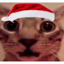 Holdmy's avatar