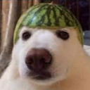 arthursilvaporto134's avatar