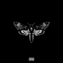 TheOneAndOnlyManuel's avatar