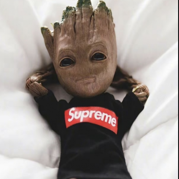 Avatar