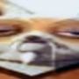 Haze_LX's avatar
