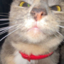 Samylou67's avatar