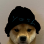 Sherryyoshi's avatar